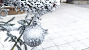 Mimořádná nabídka